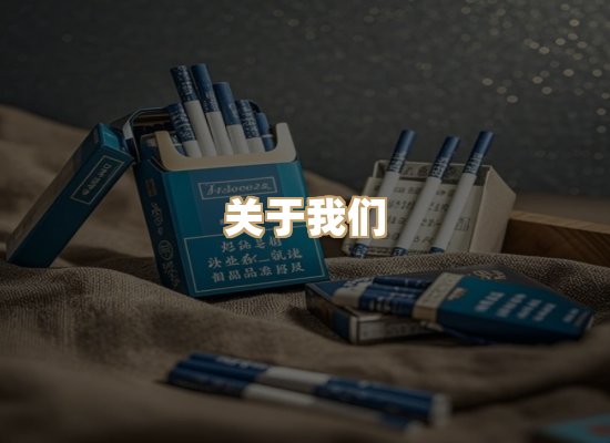 关于御龙烟网